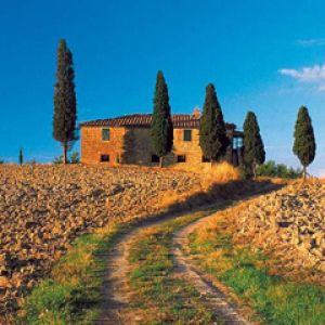 Paisagem Toscana Cênica