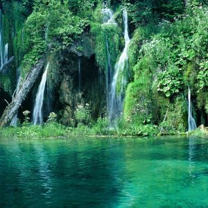Cachoeiras Serenas e Vegetação Verdejante