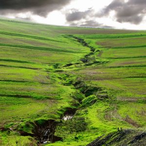Paisagem Verde