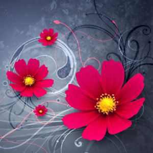 Flores Rosas Vibrantes