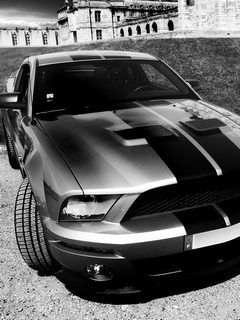 Carro Muscle Clássico