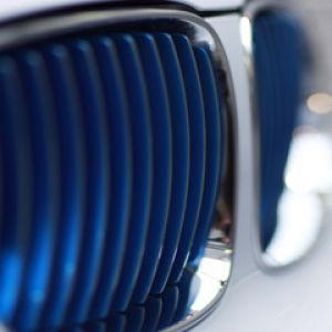 Grade BMW em Detalhe