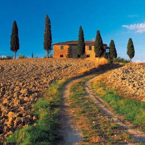 Paisagem Toscana com Ciprestes