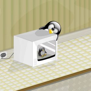 Pinguim Engraçado no Micro-ondas