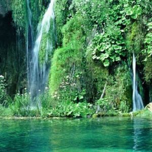Cascata Serena e Verde