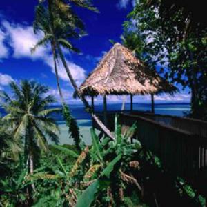 Paraíso Tropical com Palmeiras