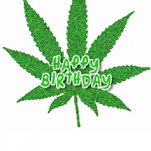 Design de Folha Feliz Aniversário