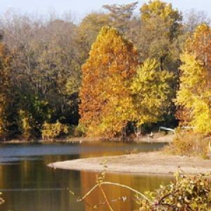 Paisagem de Lago no Outono