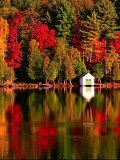 Reflexo de Outono no Lago