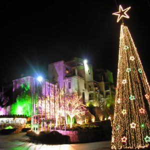 Árvore de Natal Luzes Noturnas