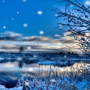 Paisagem de Inverno