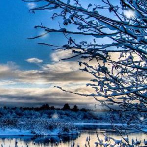 Paisagem de Inverno