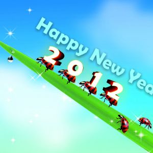 Feliz Ano Novo 2012