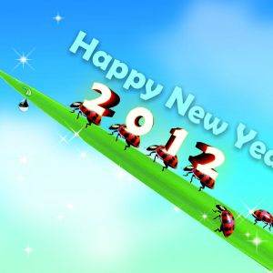 Feliz Ano Novo 2012
