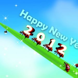 Feliz Ano Novo 2012