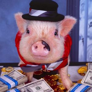 Porquinho Engraçado com Dinheiro