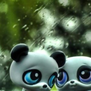 Figurinhas de panda fofas