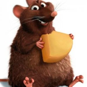 Rato Fofo com Queijo
