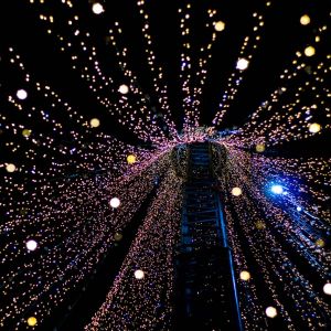 Luzes de Natal Mágicas