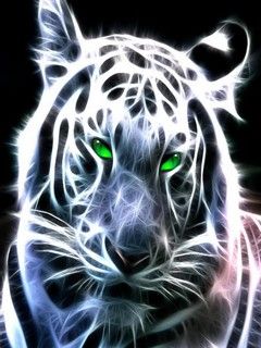 Tigre Branco Brilhante
