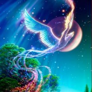 Fênix Mística no Céu Noturno