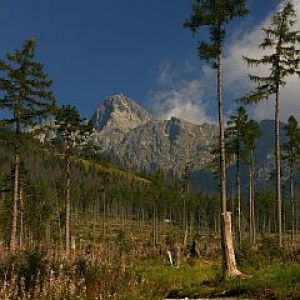Paisagem montanhosa majestosa