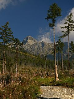 Paisagem montanhosa majestosa