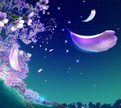Céu Noturno dos Sonhos com Flores