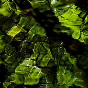 Reflexo Verde na Água