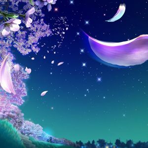 Céu Noturno dos Sonhos com Pétalas