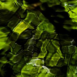 Padrões de Água Abstrata Verde