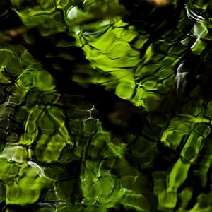 Reflexo Verde na Água