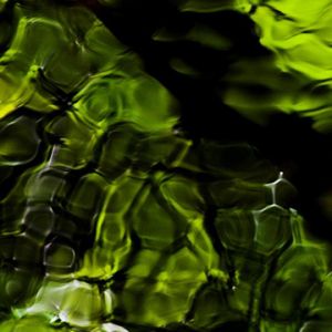Padrões Abstratos Verdes da Natureza