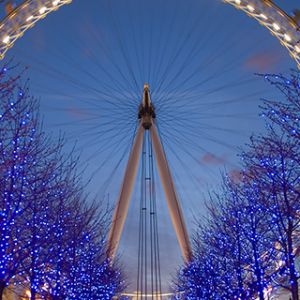 London Eye à Noite