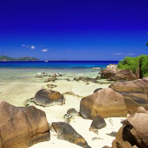 Paraíso da Praia Tropical