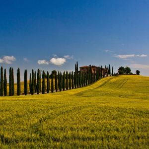 Paisagem da Toscana