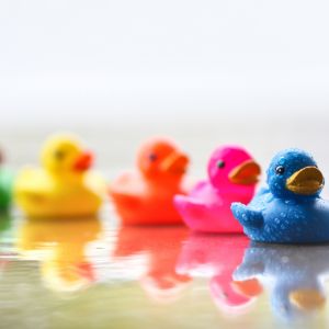 Patinhos de Borracha Coloridos