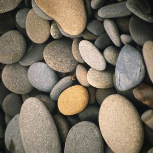 Seixos Lisos na Praia
