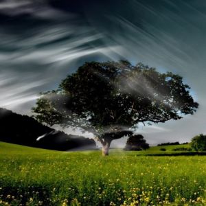 Paisagem Noturna Serena