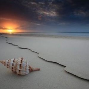 Concha na Praia ao Pôr do Sol