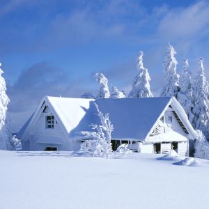 Cabana de Inverno