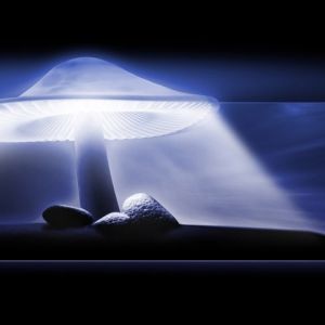 Luz Misteriosa e Pedras