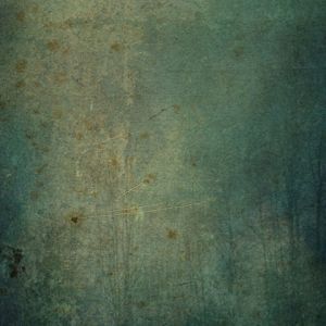 Textura de Floresta Misteriosa
