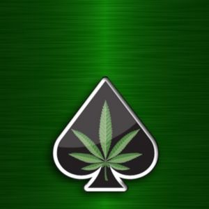 Design de Folha de Espadas Verde
