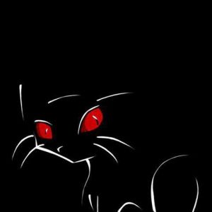 Gato Preto Misterioso