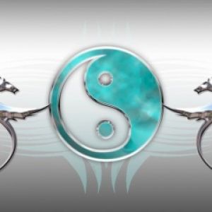 Design Dragão Yin Yang