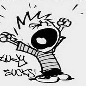 Calvin odeia estudar