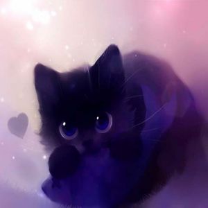 Gato Preto Fofo