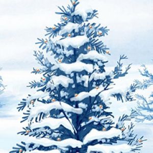 Árvore de Natal Nevada