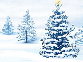 Árvores de Natal Cobertas de Neve